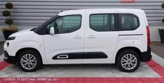 CITROEN Berlingo en venta en AlcarrÃ s (Lleida) - AlcarrÃ s