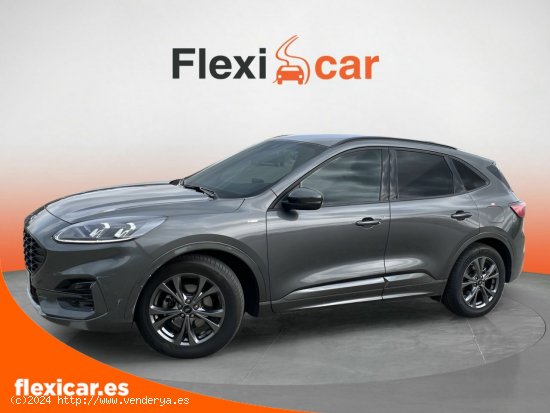 Ford Kuga ST-Line 1.5 EcoBlue 88kW (120CV) - Logroño