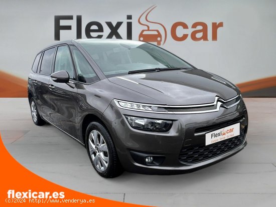 Citroën Grand C4 Picasso BlueHDi 120cv EAT6 Live - Vitoria-Gasteiz