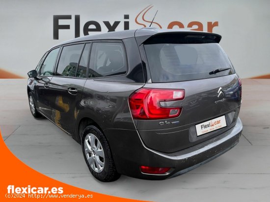 Citroën Grand C4 Picasso BlueHDi 120cv EAT6 Live - Vitoria-Gasteiz