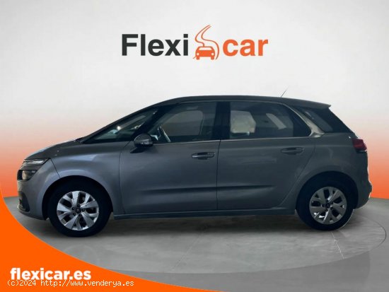 Citroën C4 Picasso BlueHDi 88KW (120CV) Feel - Xátiva