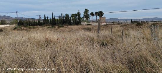 SE VENDE TERRENO EN MUY BUENA ZONA PEGADO AL PUEBLO - ALICANTE