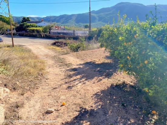 TERRENO INDUSTRIAL EN VALLADA - VALENCIA