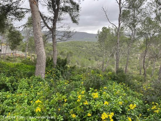  Terreno urbano en venta en Canyelles, Vora Sitges - BARCELONA 