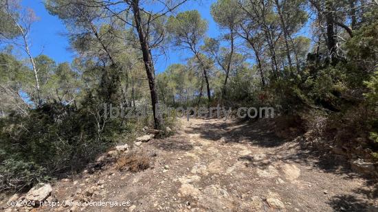 VENTA - Terreno rustico cerca de Roca Llisa, Santa Eulalia del Río - BALEARES