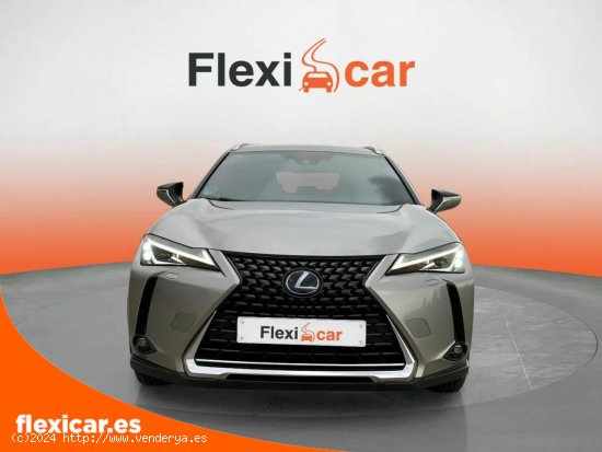 Lexus UX 2.0 250h Business Navigation - Ciudad Real