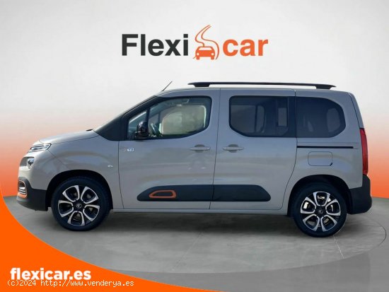 Citroën Berlingo Talla M BlueHDi 130 S&S 6v SHINE XTR - 5 P (2020) - Toledo