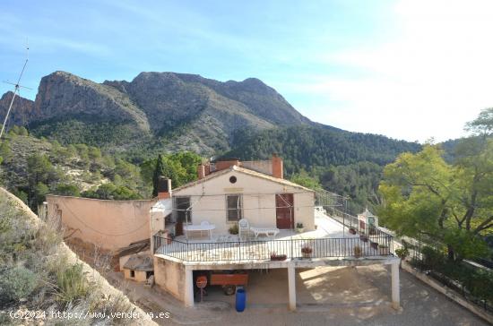 SE VENDE FINCA DE 8 DORMITORIOS CON 900.000M2 DE TERRENO EN ORXETA - ALICANTE