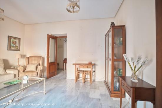  Apartamento en excelente estado a 2 minutos de la Plaza del Arenal. - CADIZ 