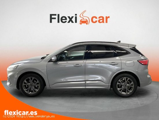 Ford Kuga ST-Line 1.5 EcoBlue 88kW (120CV) - Pamplona