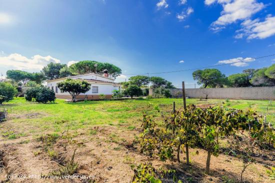 Chalet de 4 dormitorios en Las Veguetas - CADIZ