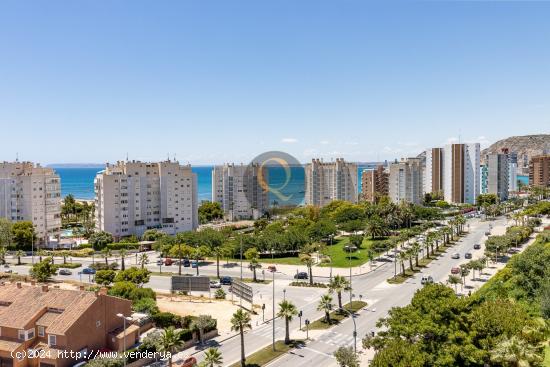 BONITO APARTAMENTO REFORMADO EN MUY BUENA ZONA - ALICANTE