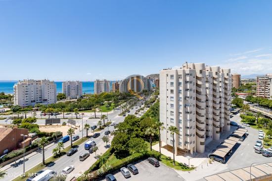 BONITO APARTAMENTO REFORMADO EN MUY BUENA ZONA - ALICANTE