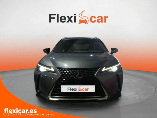 Lexus UX 2.0 250h Business Navigation - San Fernando de Henares