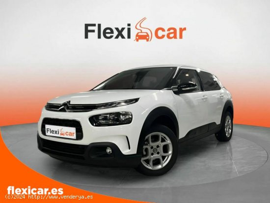 Citroën C4 Cactus PureTech 60KW (82CV) Feel - San Andrés de Palomar