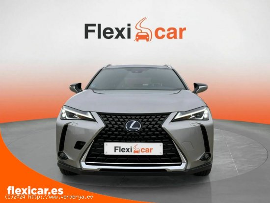 Lexus UX 2.0 250h Business Navigation - Ciudad Real