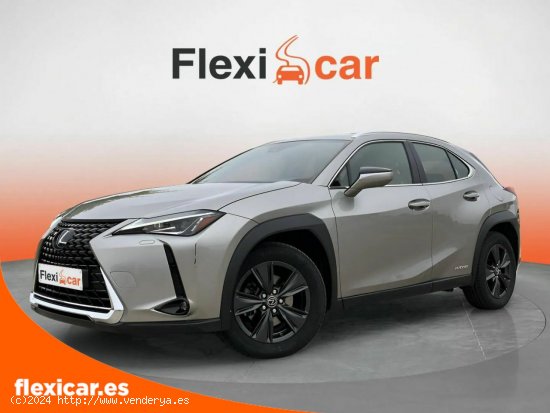 Lexus UX 2.0 250h Business Navigation - Ciudad Real