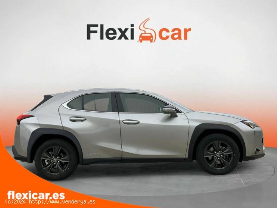 Lexus UX 2.0 250h Business Navigation - Ciudad Real