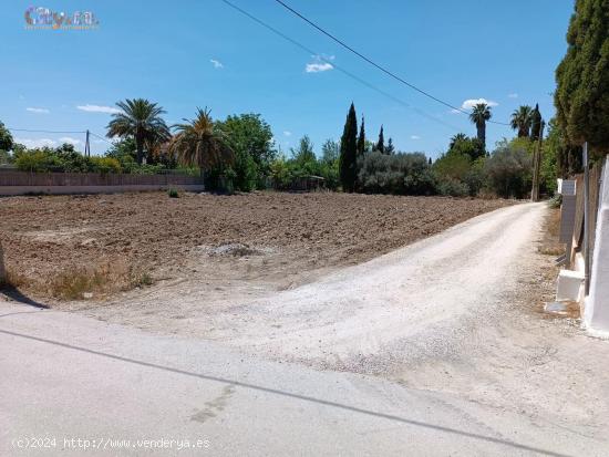 Terreno Rural en Molina de Segura, Zona de La Hijuela - MURCIA