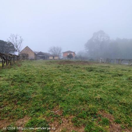 VENTA DE PARCELA EDIFICABLE!! - PONTEVEDRA