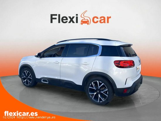 Citroën C5 Aircross BlueHdi 96kW (130CV) S&S EAT8 Shine - Cartagena