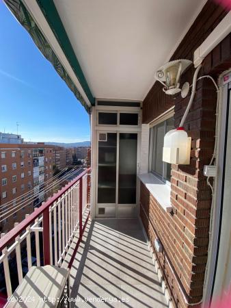 PISO EN ALQUILER  ZONA COMPLUTENSE - MADRID