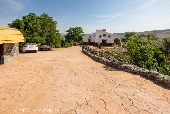 Estupendo chalet con apartamento y piscina en Salar. Granada. - GRANADA