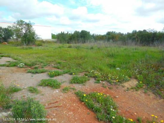 Solar industrial en Campos - BALEARES