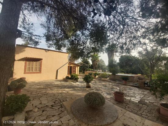 FINCA RUSTICA EN BINISSALEM - BALEARES