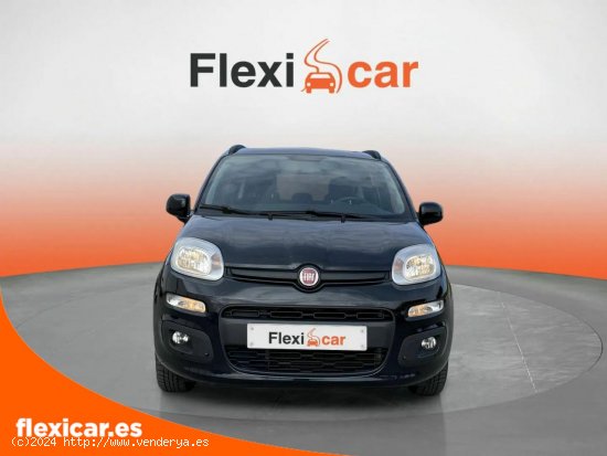 Fiat Panda 1.2 City Cross 51kW (69CV) - Toledo