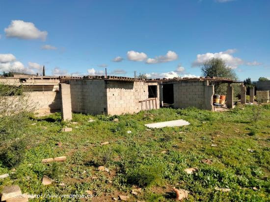  TERRENO RUSTICO CON CONSTRUCCION AGRARIA EN BINISSALEM PROXIMA ZONA URBANA - BALEARES 