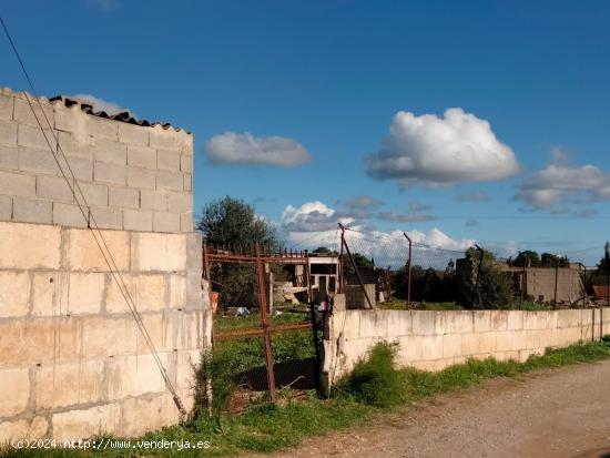 TERRENO RUSTICO CON CONSTRUCCION AGRARIA EN BINISSALEM PROXIMA ZONA URBANA - BALEARES