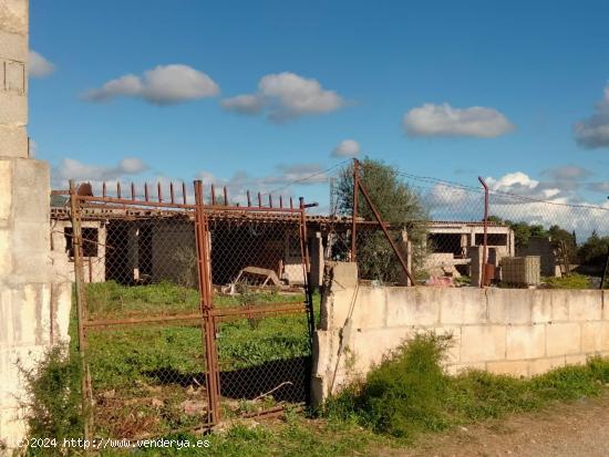 TERRENO RUSTICO CON CONSTRUCCION AGRARIA EN BINISSALEM PROXIMA ZONA URBANA - BALEARES