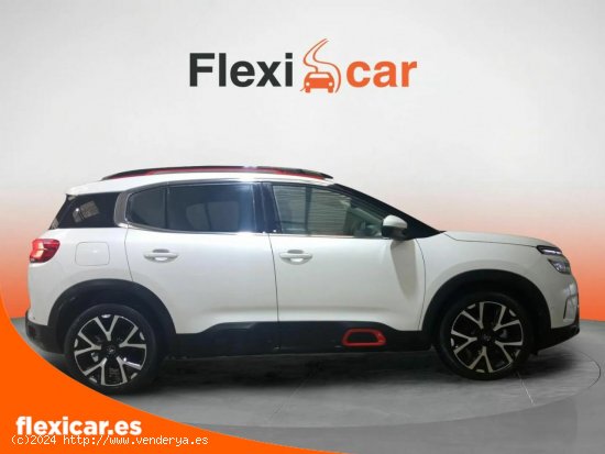 Citroën C5 Aircross BlueHdi 96kW (130CV) S&S EAT8 Shine - Reocín