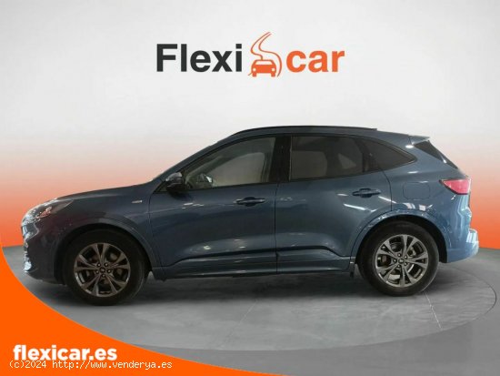 Ford Kuga ST-Line 1.5 EcoBlue 88kW (120CV) Auto - Madrid