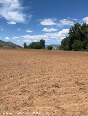 PARCELA RUSTICA EN ALBOLOTE CON POSIBILIDAD DE SEGREGAR EN DOS - GRANADA