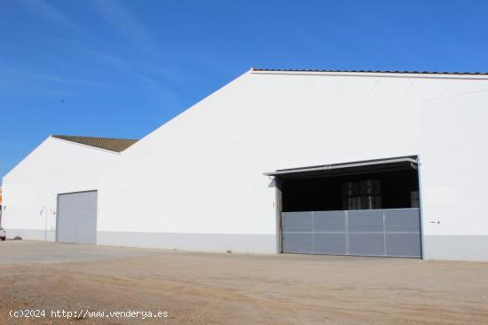 FANTÁSTICA NAVE AISLADA DE 1.000 M2 EN REUS - TARRAGONA