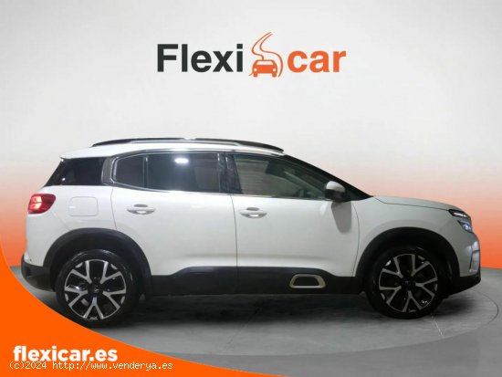 Citroën C5 Aircross BlueHdi 96kW (130CV) S&S Live - Reocín