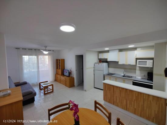 APARTAMENTO PLAYA DE GANDIA - VALENCIA