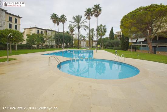 MAGNIFICA OPORTUNIDAD, SE ALQUILA UN GRAN PISO EN SA TEULERA CON JARDIN Y PISCINA COMUNITARIA - BALE