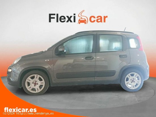 Fiat Panda City Life Hybrid 1.0 Gse 51kw (70CV) - Madrid