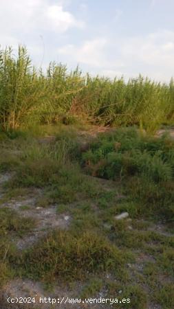 A la venta terreno rural en el Llano de molina, Hondon de Abajo. - MURCIA