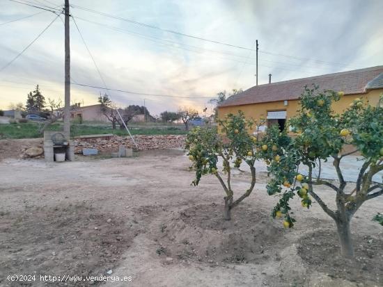 CASA DE PUEBLO EN LAS PALAS - MURCIA