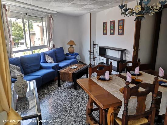  Piso en venta Alcoy - Zona Santa Rosa - ALICANTE 