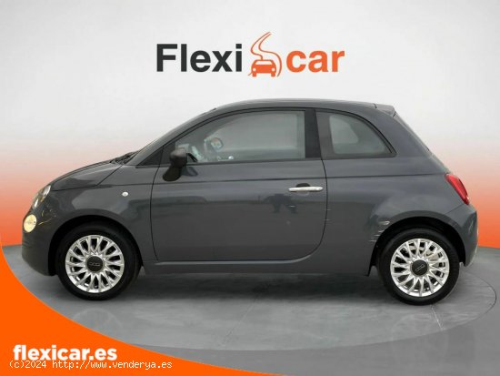 Fiat 500 Cult 1.0 Hybrid 51KW (70 CV) - Atarfe