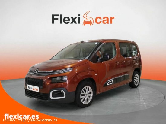 Citroën Berlingo 1.5 Talla M BlueHDI Feel Business - València