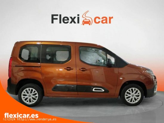 Citroën Berlingo 1.5 Talla M BlueHDI Feel Business - València