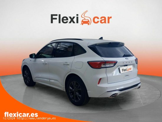 Ford Kuga ST-Line 1.5T EcoBoost 110kW (150CV) - Palma