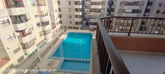 ALQUILER PISO DE 4 DORMITORIOS Y 2 BAÑOS CENTRO ALICANTE - ALICANTE