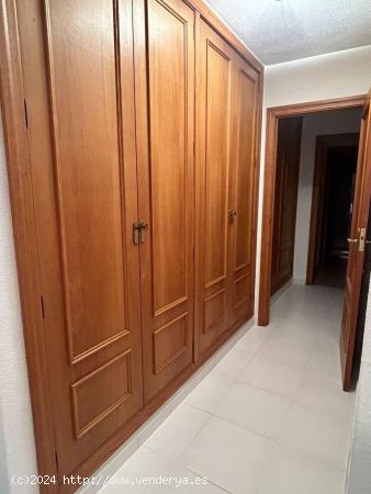 ALQUILER PISO DE 4 DORMITORIOS Y 2 BAÑOS CENTRO ALICANTE - ALICANTE